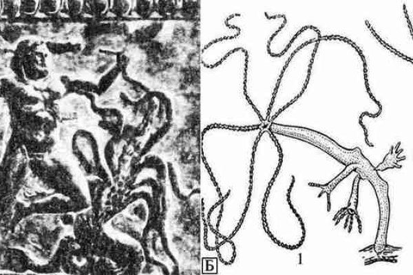 Kraken ссылка kraken014 com