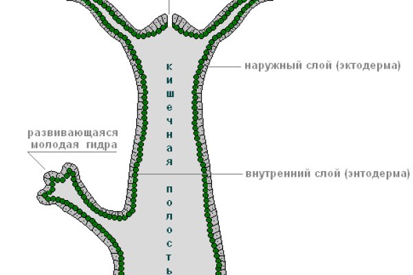 Как пополнить баланс на кракене