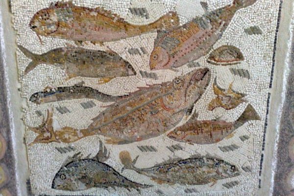 Кракен наркологический